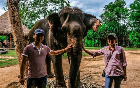 Elephant Village Sanctuary.